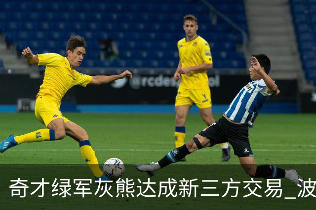 奇才绿军灰熊达成新三方交易 波神斯玛特易主