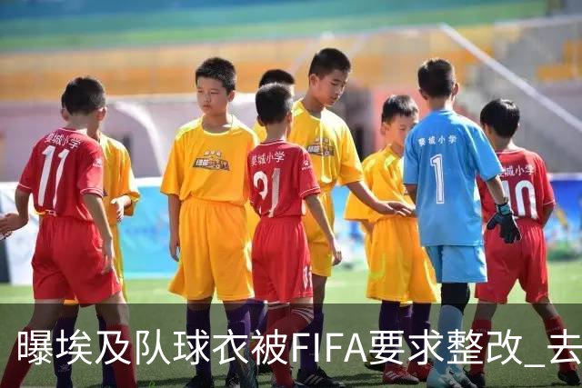 曝埃及队球衣被FIFA要求整改 去掉7颗星+号码改颜色
